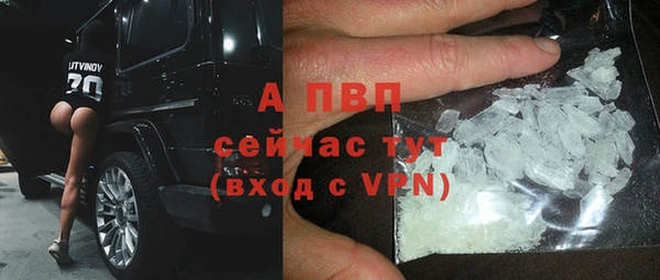 эйфоретик Осинники