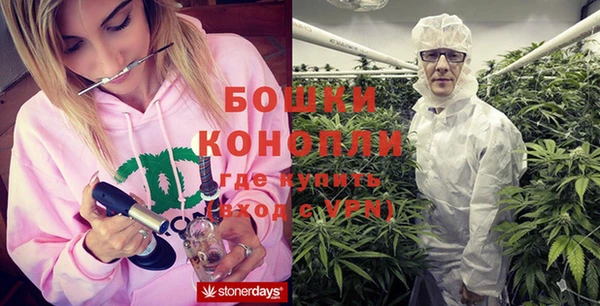 индика Остров