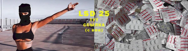 индика Остров