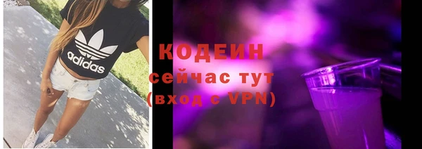 прущие грибы Няндома