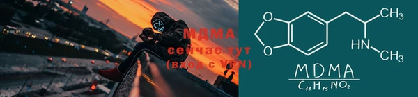 индика Нягань