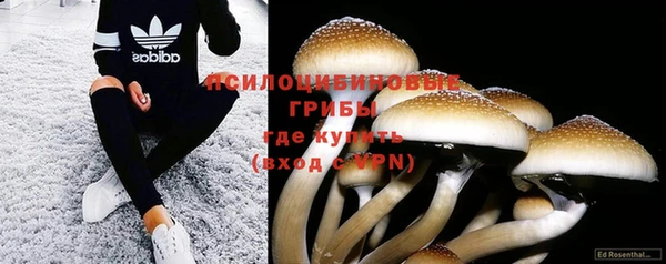 индика Остров